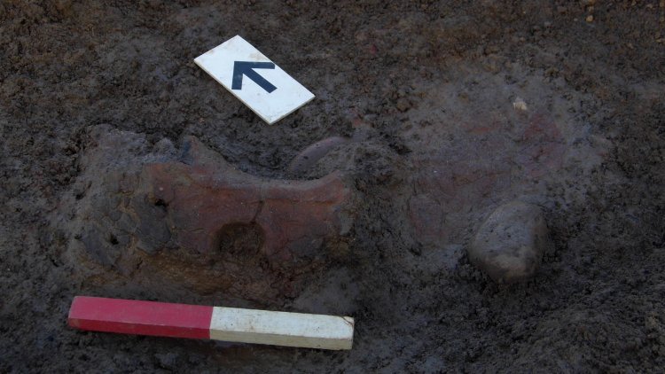 Fragment of a perforated oven plate found in Roundhouse 1