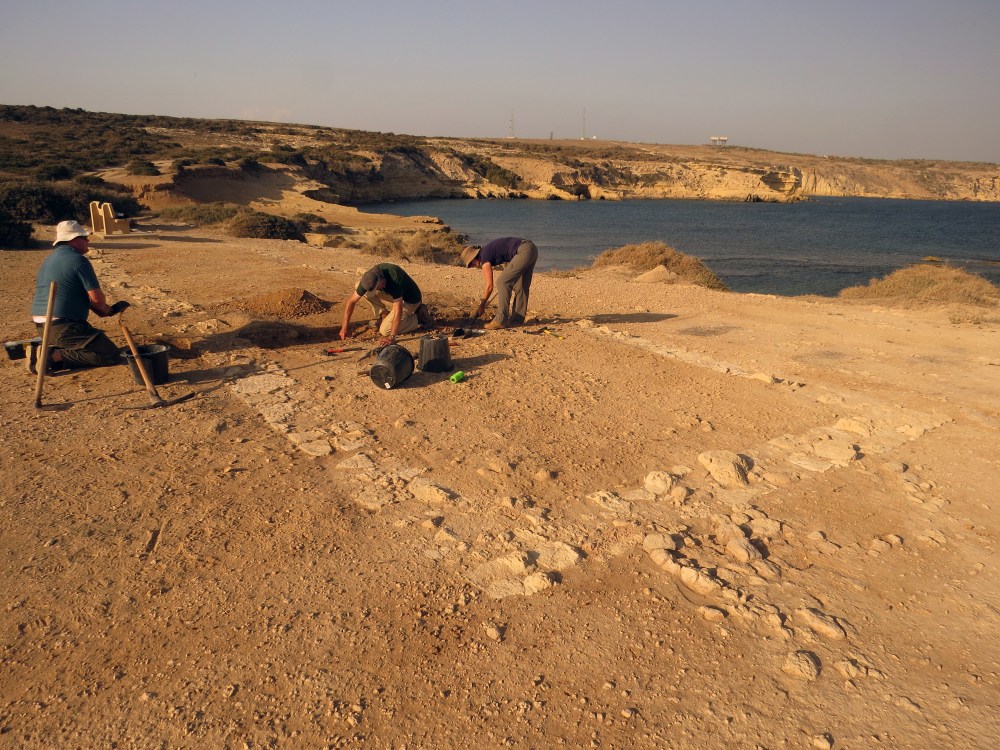 2 UofL excavation Dreamers Bay Sept 2015 (c) Simon James IMG_2871