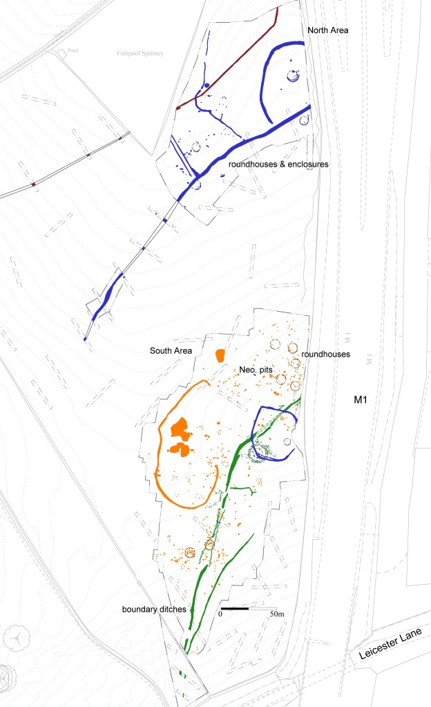 Plan of he Enderby site.