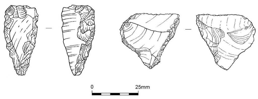 Drawings of Neolithic flint arrowheads from Enderby