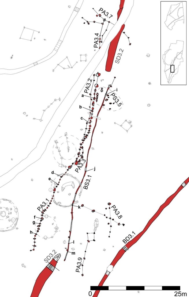 Plan of the Early Iron Age boundary features recorded on site.
