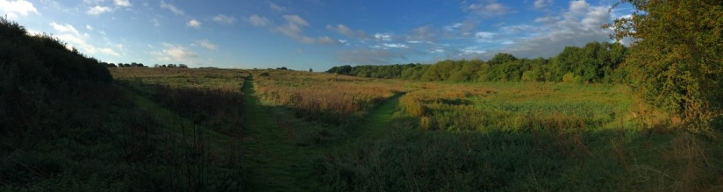 A photograph showing the view towards Castle Hill from the fishpond dam.