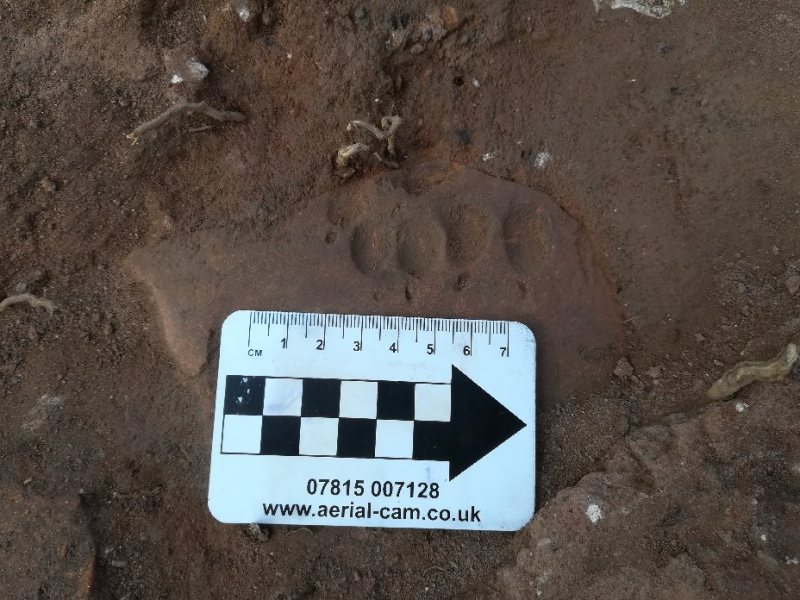 Coventry Charterhouse – A tale of two trenches