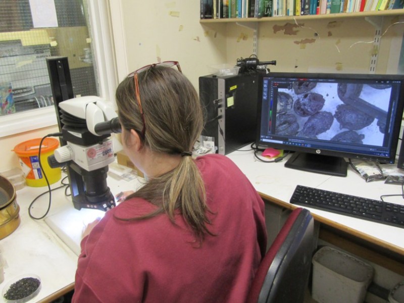 Leicester Cathedral Revealed – Secrets from the Cess Pit!